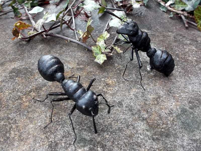 Two Black Ant Fridge Magnets