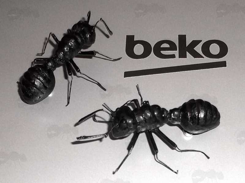 Two Black Ant Fridge Magnets Shown Stuck to a Beko Fridge Door