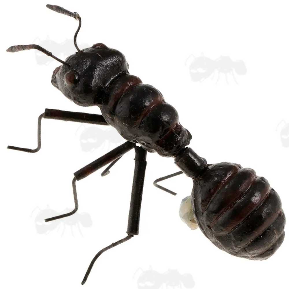 Black Ant Fridge Magnet