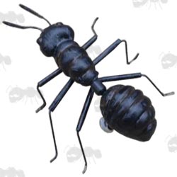 Black Ant Fridge Magnet