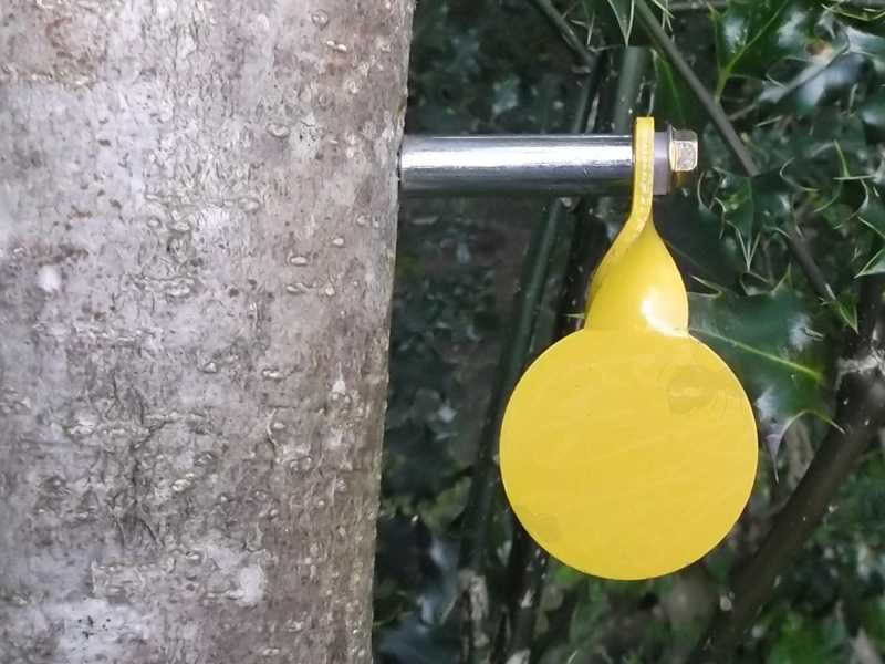 40mm Diameter Stainless Steel Yellow Spinning Disc Target with Hex Head Screws and Spacers, Shown Fitted to a Tree Thrunk