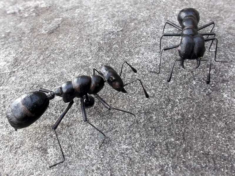 Two Black Ants with Mandibles Fridge Magnets