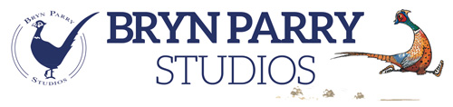 Bryn Parry Studioes Logo
