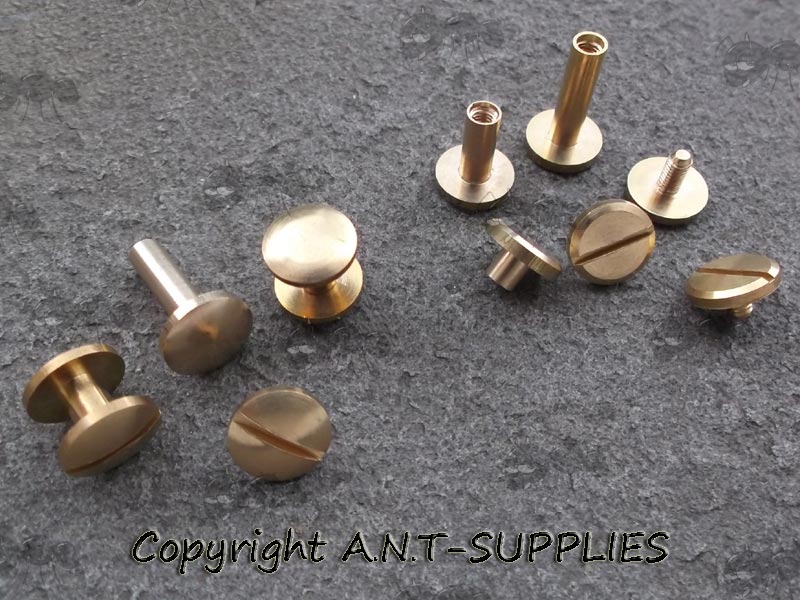 Mix of Flat Head and Domed Head Brass Chicargo Studs