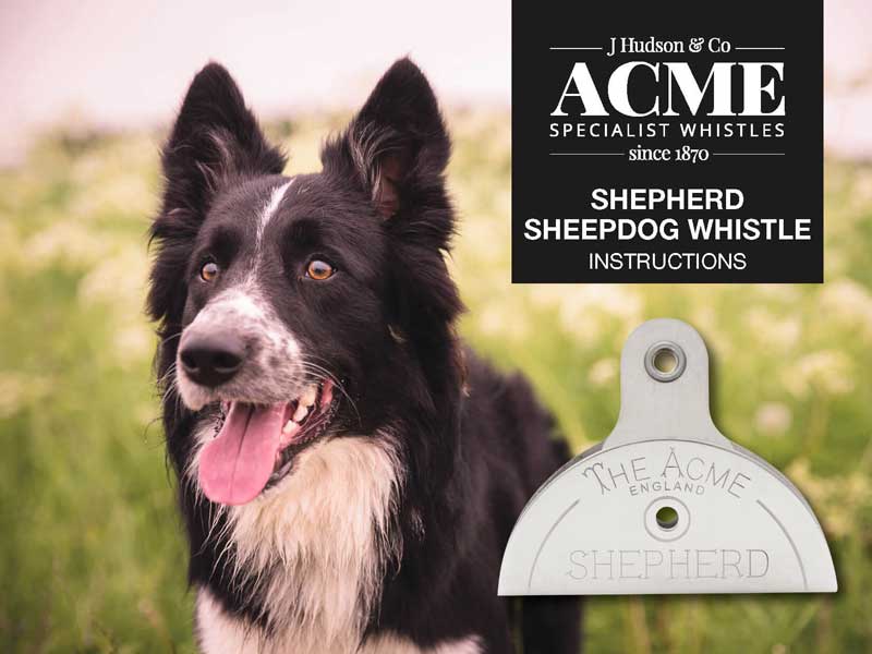 Acme Shepherd Sheepdog Whistle Banner