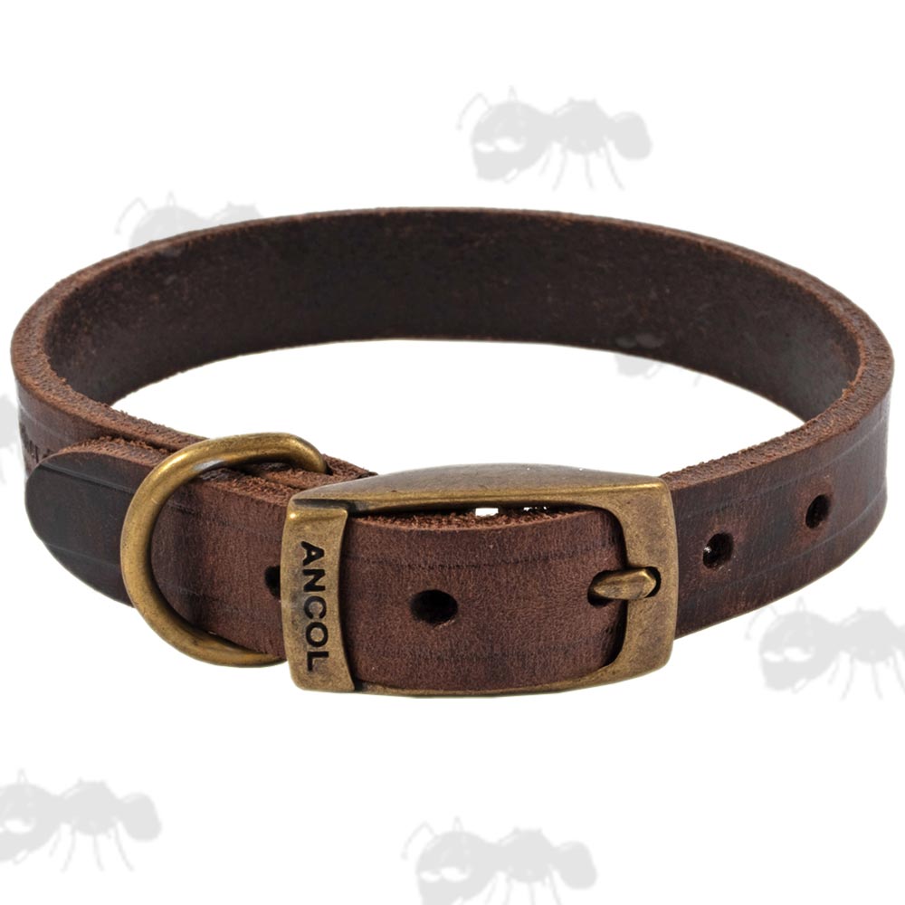 Ancol Latigo Leather Dog Collar In Havana Brown With Brass Ring and Buckle