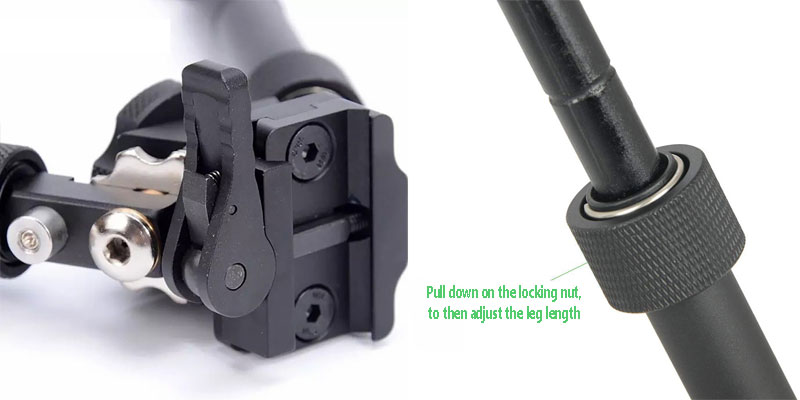 Rail Fitting and Adjustable Leg Lock Nut View of The 360 Degree Rotating Bipod for 1913 Style Picatinny Rails M8