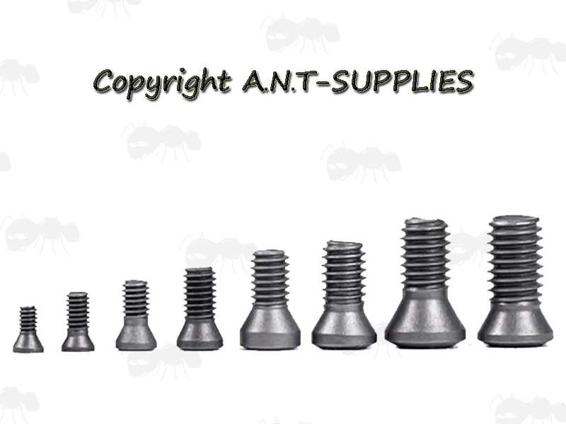 Seven Assorted Sizes of Insert Screws with Torx Heads
