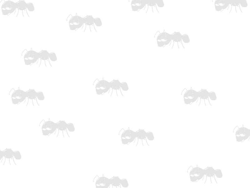 Black Coloured Airsoft VCOG Scope Killflash Anti-Glare Device