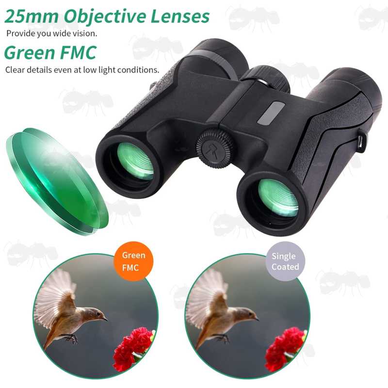 Green FMC Lenses View on The Compact 10x Magnification Binoculars with 25mm Lenses
