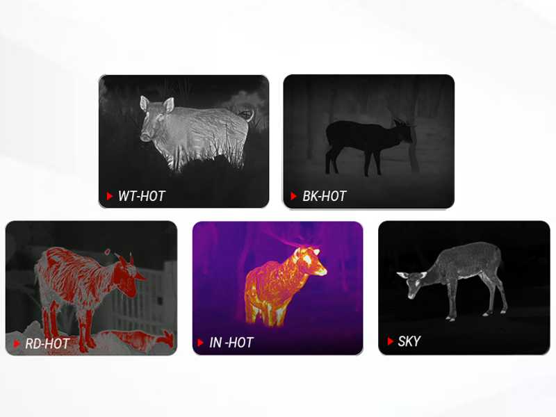 PARD Leopard 256 Thermal Imaging Monocular